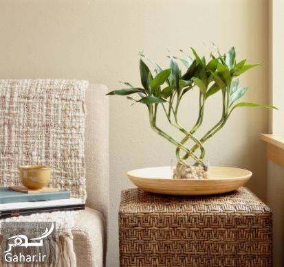 آموزش استفاده از بامبو در دکوراسیون 447929 Gahar ir آموزش استفاده از بامبو در دکوراسیون