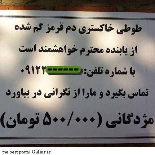 مژدگانی 500 هزاری برای طوطی / عکس