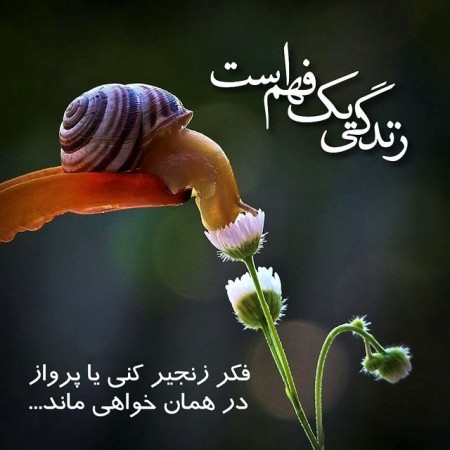 عکس پروفایل خاص دخترونه زیبا