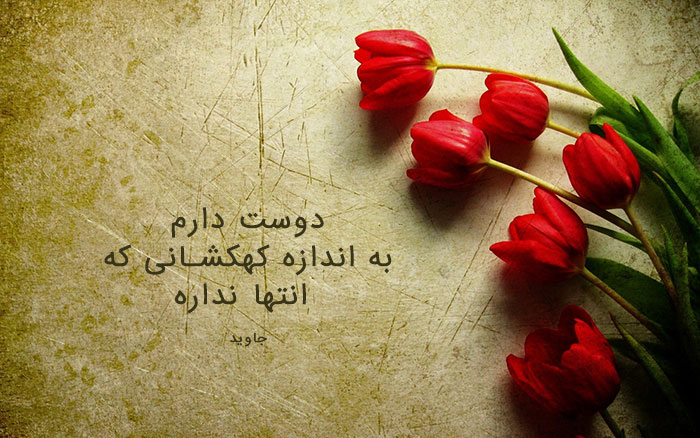 عکس پروفایل گل های خاص و زیبا