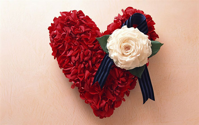 عکس پروفایل گل های خاص و زیبا