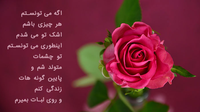 عکس پروفایل گل های خاص و زیبا