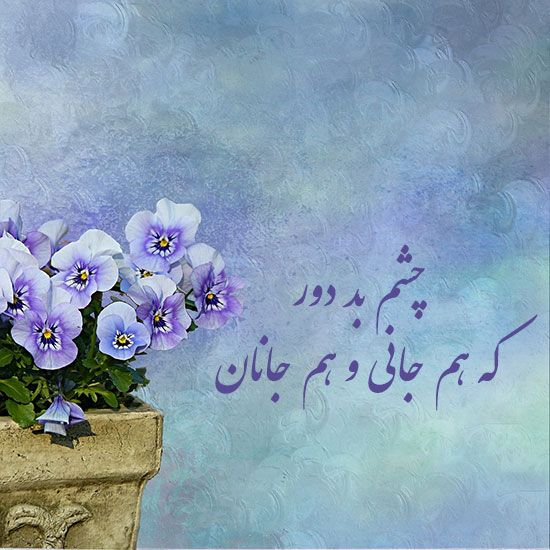 عکس پروفایل گل های خاص و زیبا