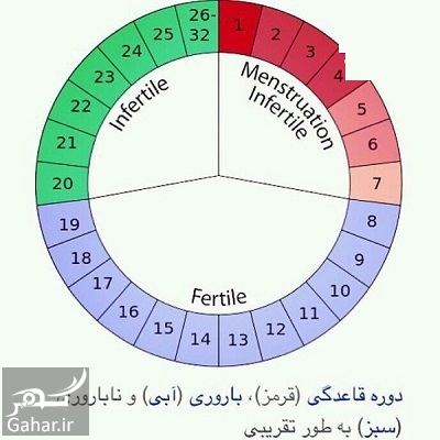 آیا بارداری بدون دخول انجام می گیرد