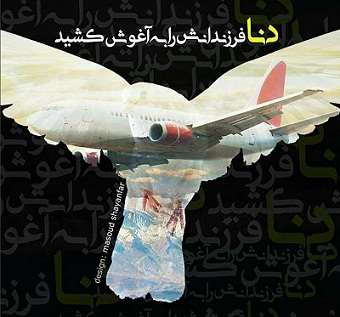 عکس پروفایل سقوط هواپیما