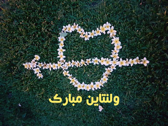 عکس پروفایل ولنتاینی