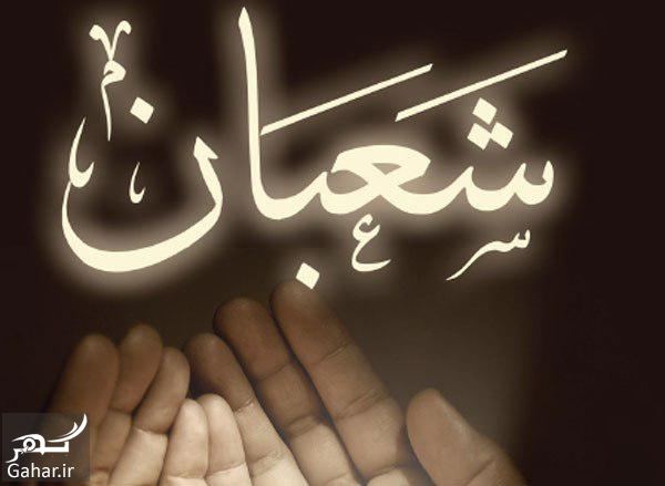 پروفایل شعبانیه