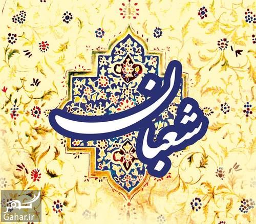 پروفایل شعبانیه