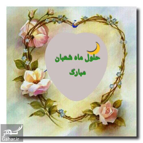 پروفایل شعبانیه