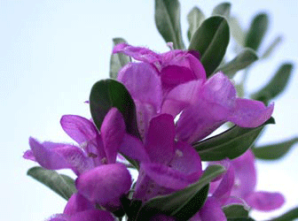 چگونه خونریزی قاعدگی را کم کنیم, جدید ۱۴۰۲ -❤️ گهر