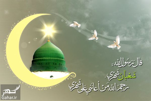 پروفایل شعبانیه