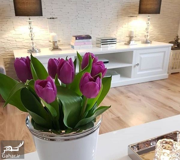 مدل دکوراسیون و چیدمان منزل به سبک هلندی