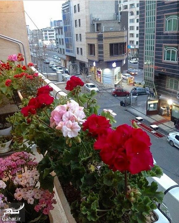 عکسهای منزل نو عروس سری هشتم (چیدمان ، مبلمان ، آشپزخانه و &hellip; )
