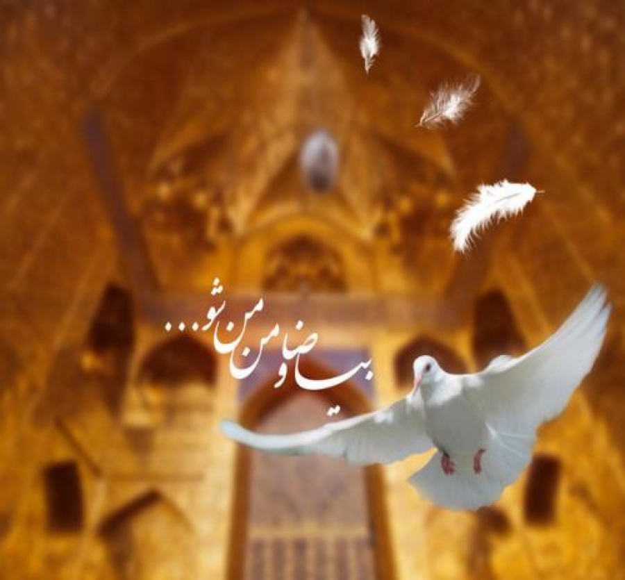 عکس پروفایل تولد امام رضا (ع)