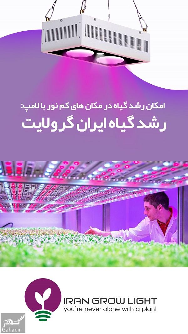 چراغ رشد گیاه برای گیاه دوستانی که منازل کم نور دارند!