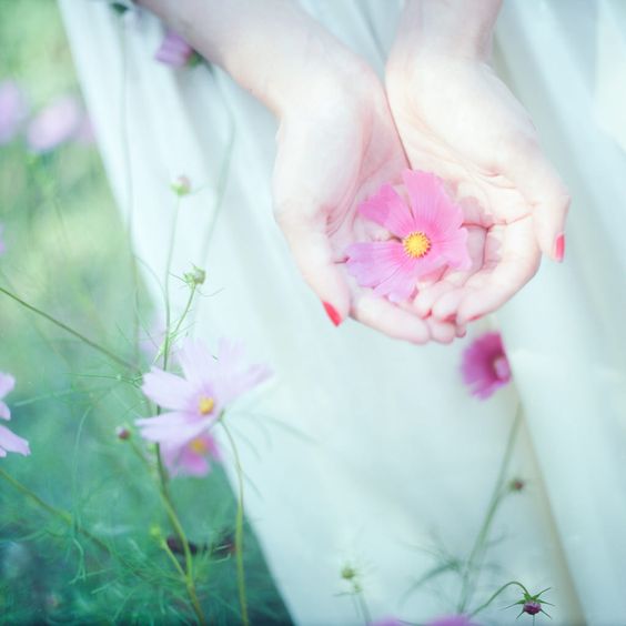 عکس گل های زیبا برای پروفایل