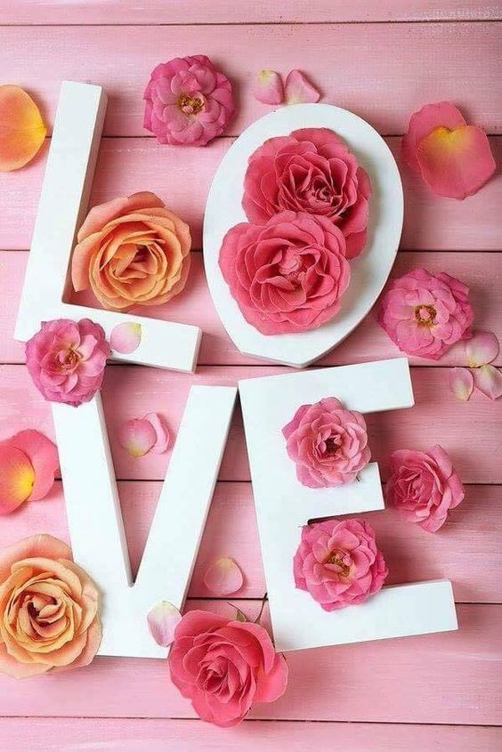 عکس گل های زیبا برای پروفایل