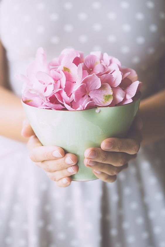 عکس گل های زیبا برای پروفایل
