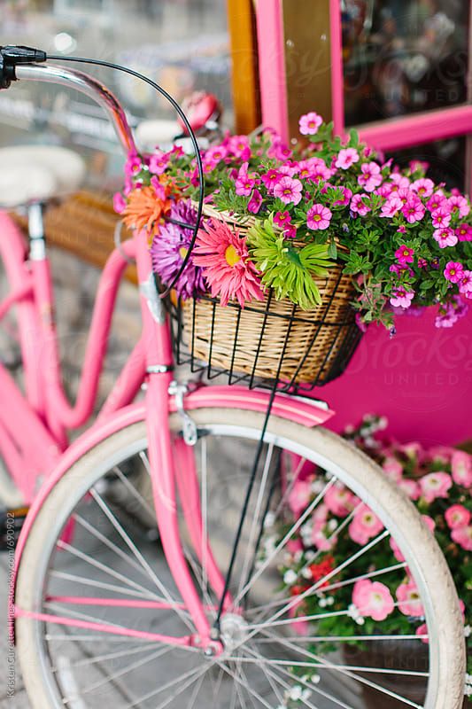 عکس گل های زیبا برای پروفایل
