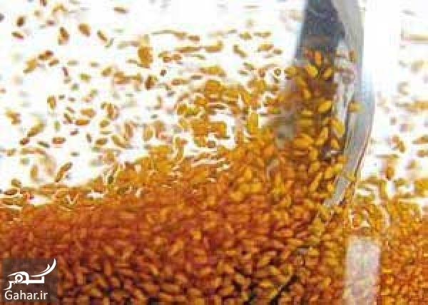 روش شستن خاکشیر, جدید 1400 -گهر