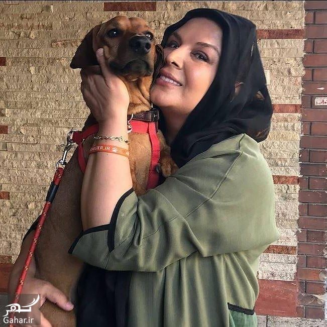 ممنوع التصویری شهره سلطانی در تلویزیون به خاطر سگ!