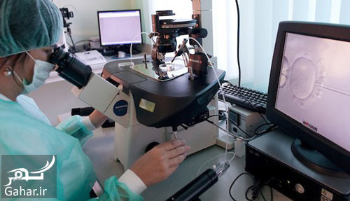 هزینه آی وی اف در سال ۱۴۰۱ ivf