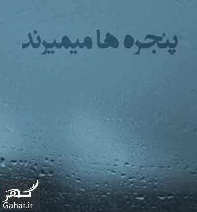 رمان پنجره ها می میرند