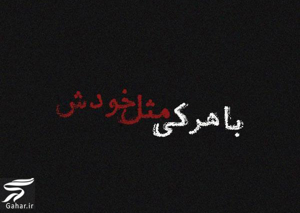 متن شاخ تیکه دار