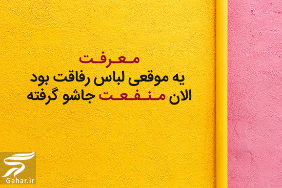 متن شاخ تیکه دار