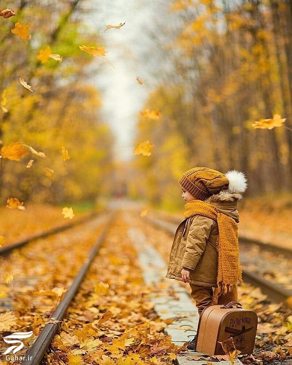 نکات عکاسی در فصل پاییز