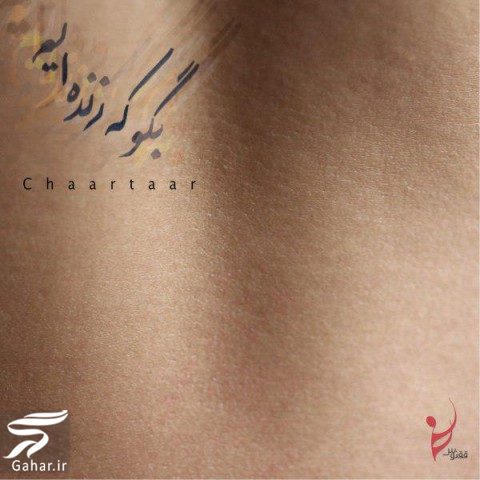 دانلود آهنگ بگو که زنده ایم از گروه چارتار