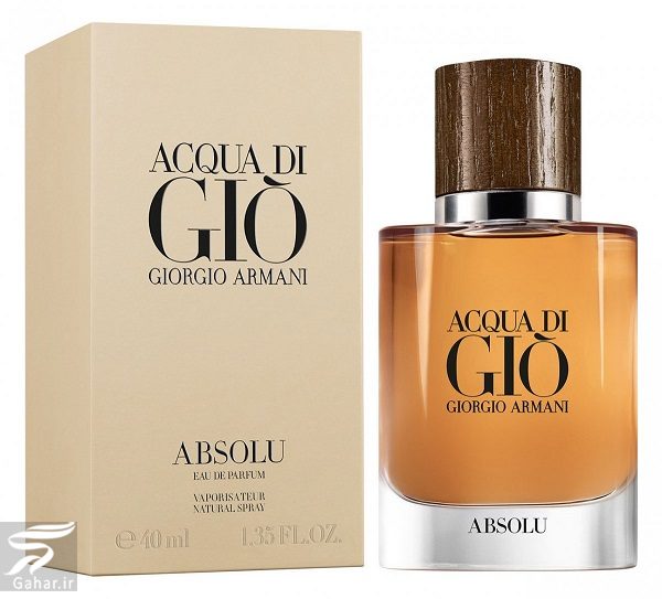عطر آکوا دی جیو ابسولو Acqua Di Gio Absolu