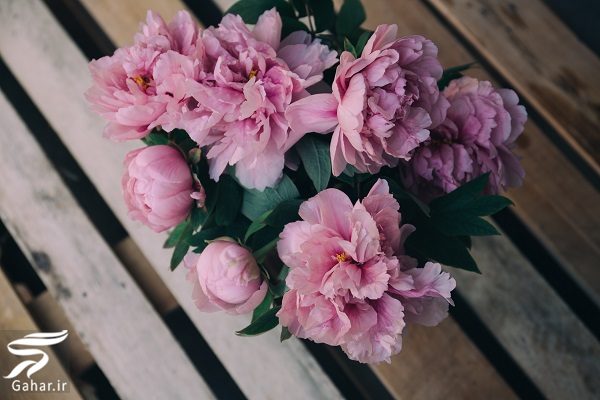 بهترین گل ها برای هدیه دادن و مناسبت ها کدامند؟