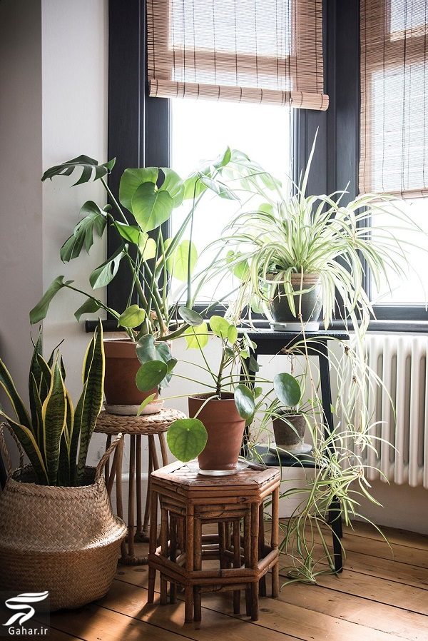 راه کارهایی برای ایجاد تصفیه هوای منزل