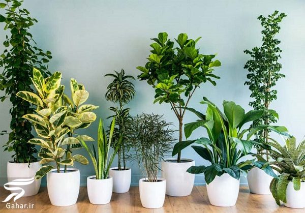 راه کارهایی برای ایجاد تصفیه هوای منزل