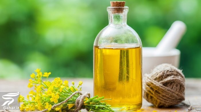 خواص شگفت انگیز روغن کلزا