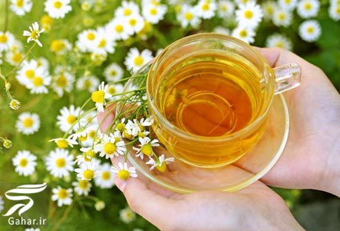 معرفی بهترین خوراکی ها برای مشکلات گوارشی