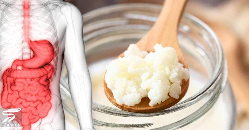 معرفی بهترین خوراکی ها برای مشکلات گوارشی