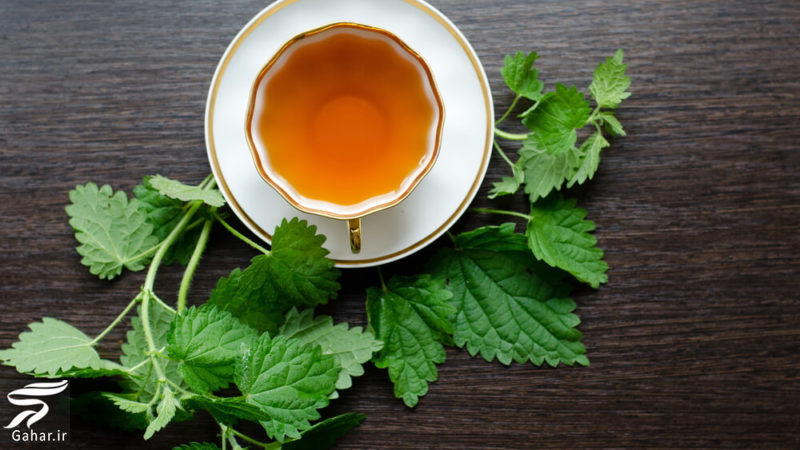 خواص دارویی و درمانی دمنوش گزنه