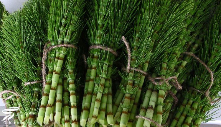 روش های طبیعی درمان ضرب دیدگی