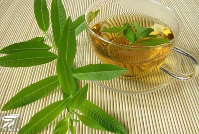 مهمترین خواص برگ به لیمو برای سلامت بدن
