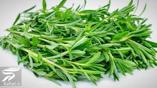 خواص انواع سبزی خوردن را بدانید