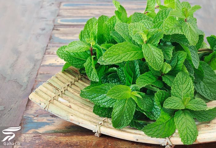 خواص انواع سبزی خوردن را بدانید