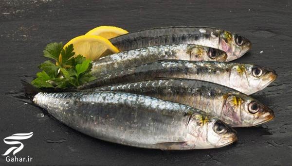 معرفی و شناخت خوراکی های سنگ ساز کلیه 150822 Gahar ir معرفی و شناخت خوراکی های سنگ ساز کلیه