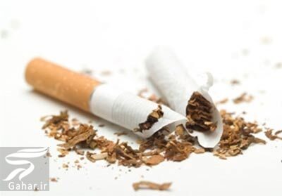مصرف کدام مواد غذایی باعث کم شدن هوش می شود؟