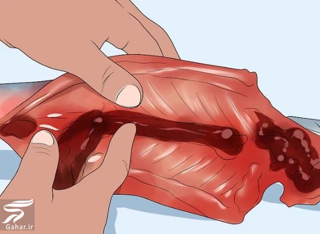 نحوه تمیز کردن ماهی به صورت تصویری و از بین بردن بوی آن