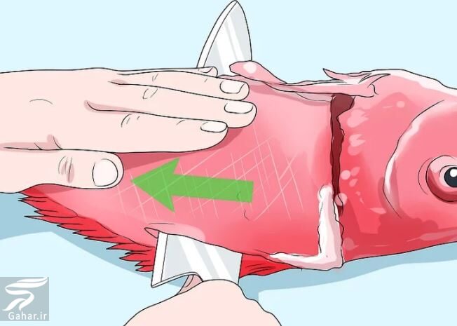 نحوه تمیز کردن ماهی به صورت تصویری و از بین بردن بوی آن