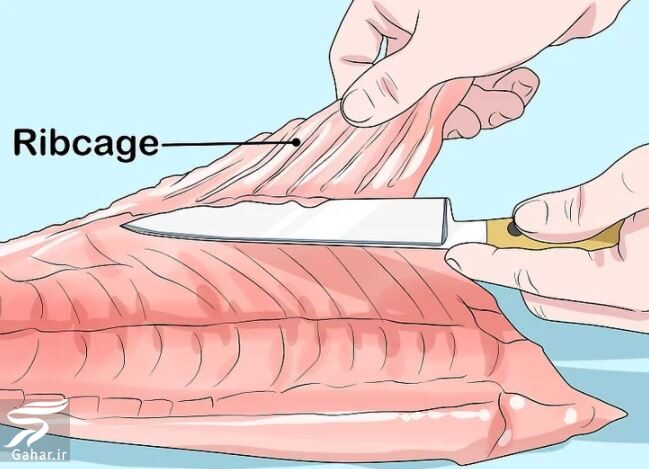 نحوه تمیز کردن ماهی به صورت تصویری و از بین بردن بوی آن