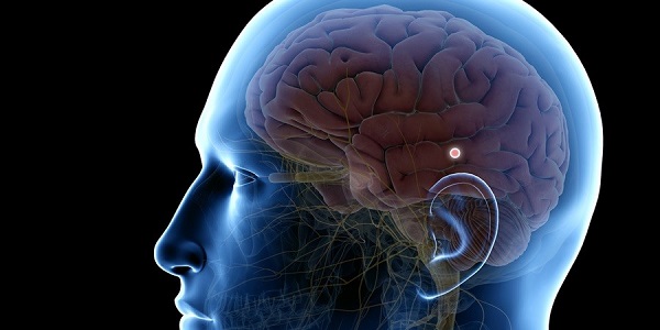 بررسی علائم و درمان بیماری های رایج مغزی