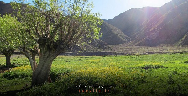 لوکس ویلا، بهترین راه اجاره ویلا در دماوند